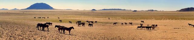 Impressionen aus Namibia