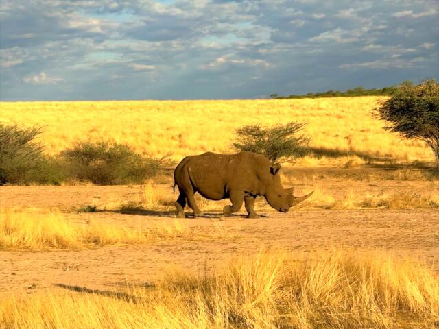 Impressionen aus Namibia