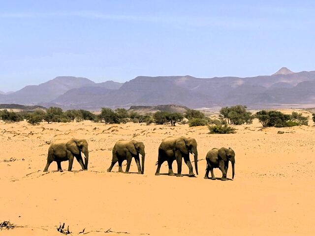 Impressionen aus Namibia